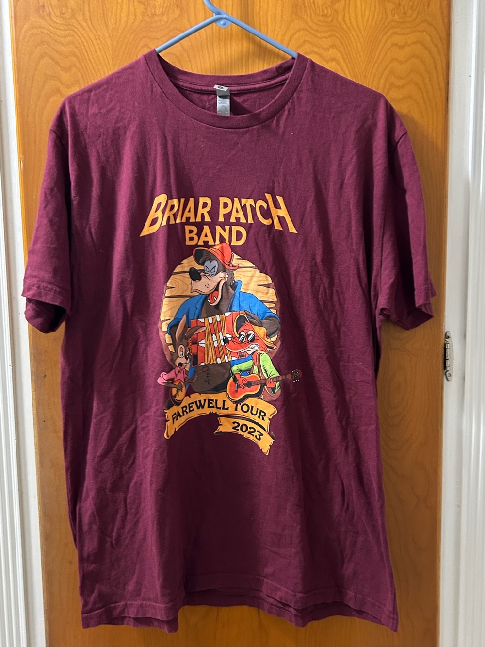 Disney Briar Patch Band Farewell Tour 2023 Graphic Tee - Burgundy